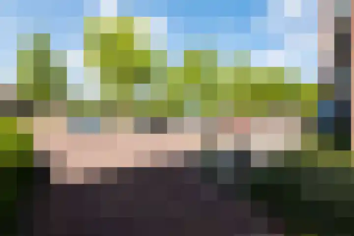 Hertoginnenlaan 33 Oostvoorne thumbnail 39
