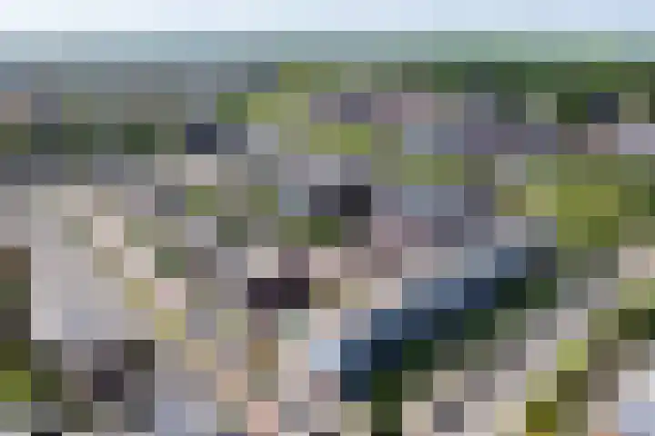 Hertoginnenlaan 33 Oostvoorne thumbnail 41