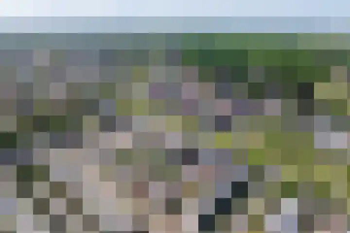 Hertoginnenlaan 33 Oostvoorne thumbnail 42