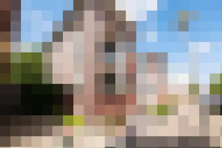 Hertoginnenlaan 33 Oostvoorne thumbnail 6