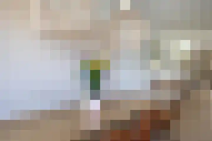 Hertogkade 5 Huissen thumbnail 14