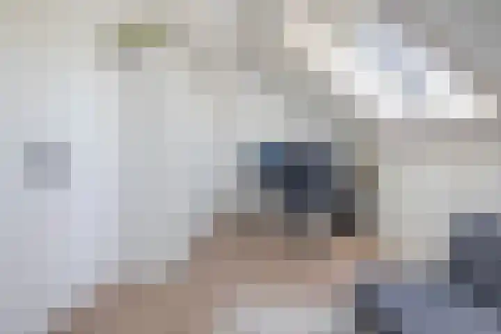 Hertogkade 5 Huissen thumbnail 26