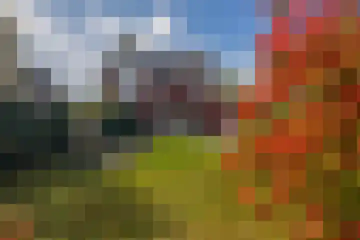 Hertogkade 5 Huissen thumbnail 32