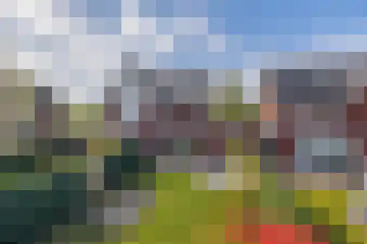 Hertogkade 5 Huissen thumbnail 33