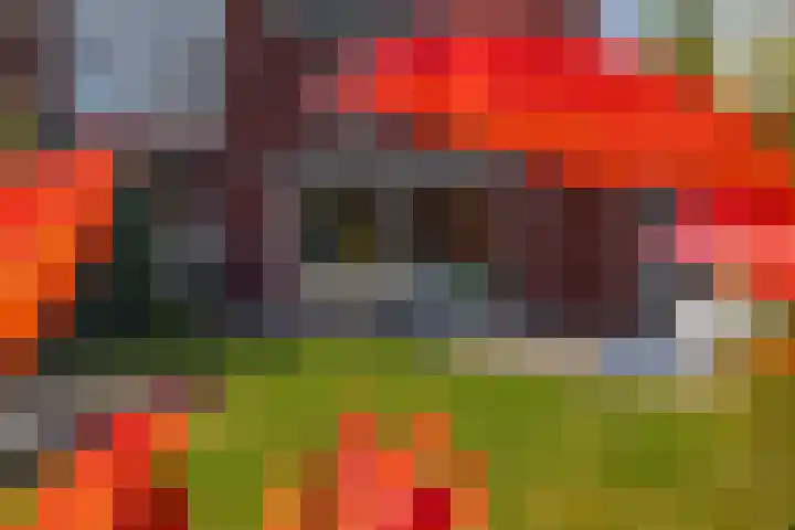 Hertogkade 5 Huissen thumbnail 37