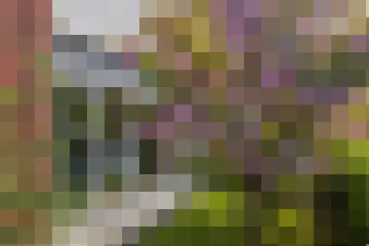 Hertogkade 5 Huissen thumbnail 40
