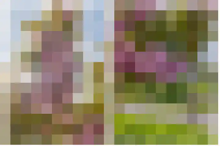 Hertogkade 5 Huissen thumbnail 41