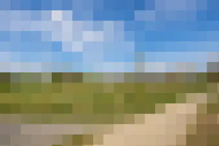 Hertogkade 5 Huissen thumbnail 48