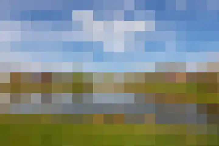 Hertogkade 5 Huissen thumbnail 51