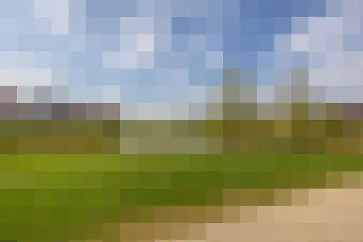 Hertogkade 5 Huissen thumbnail 52