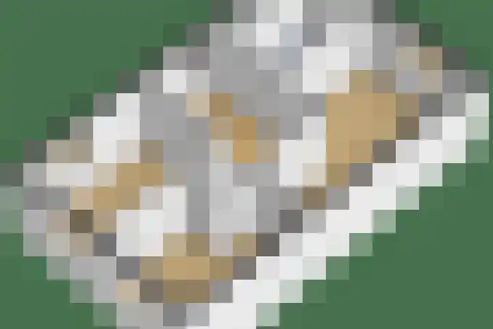 Hertogkade 5 Huissen thumbnail 56
