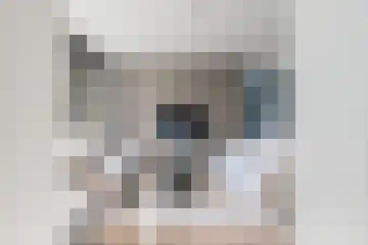 Hertogkade 59 Huissen thumbnail 15