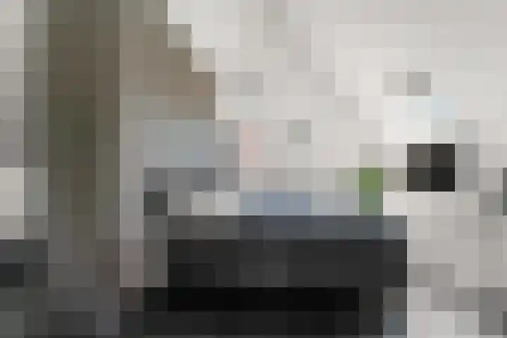 Hertogkade 59 Huissen thumbnail 38