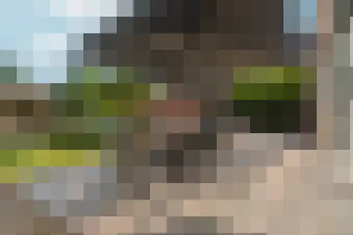 Hertogkade 59 Huissen thumbnail 59