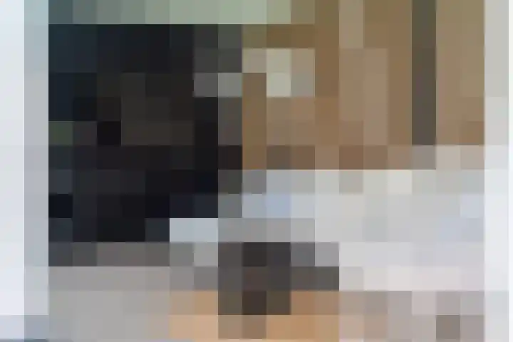 Hertogkade 59 Huissen thumbnail 62