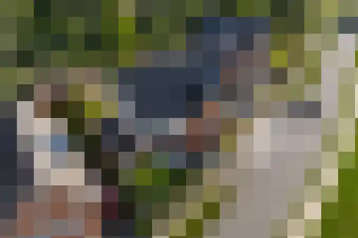 Hertogkade 59 Huissen thumbnail 73