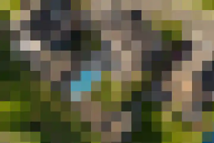 Hertogkade 59 Huissen thumbnail 76