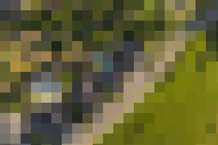 Hertogkade 59 Huissen thumbnail 77