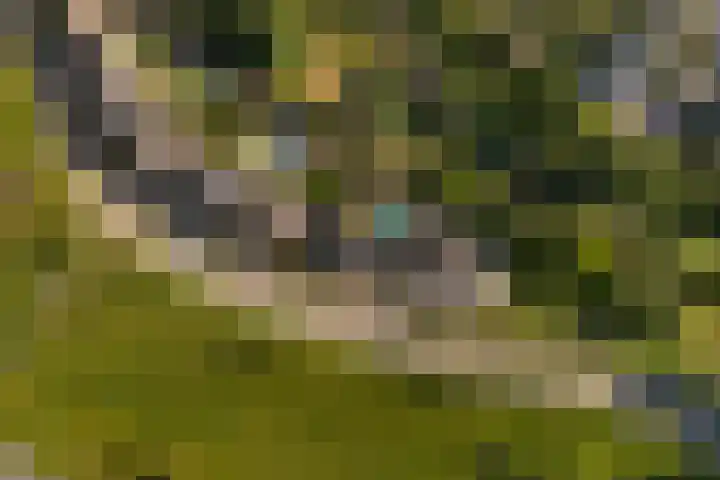 Hertogkade 59 Huissen thumbnail 78