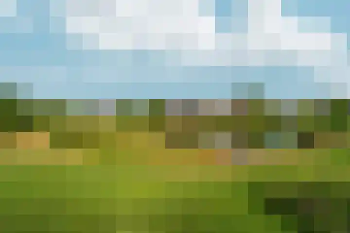 Hertogkade 59 Huissen thumbnail 79