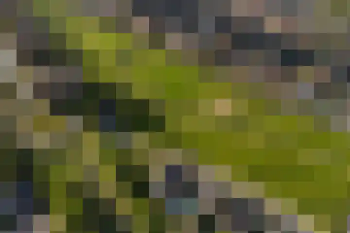 Hertogkade 59 Huissen thumbnail 81