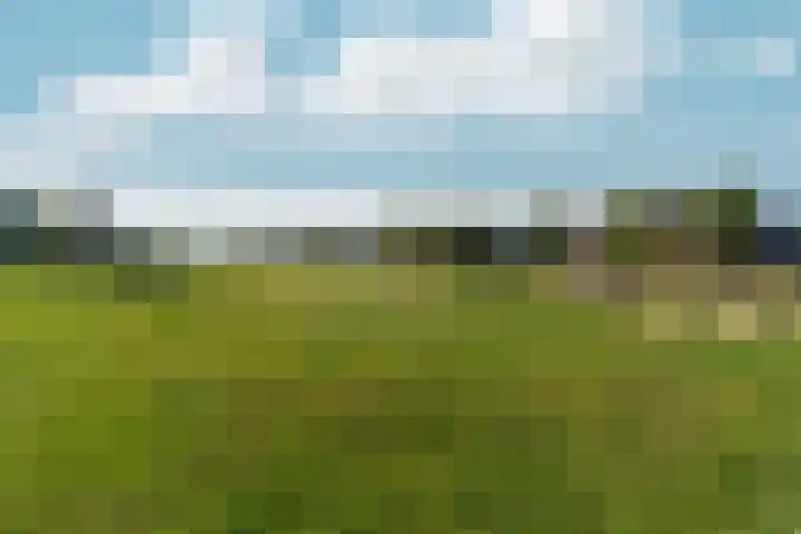Hertogkade 59 Huissen thumbnail 82