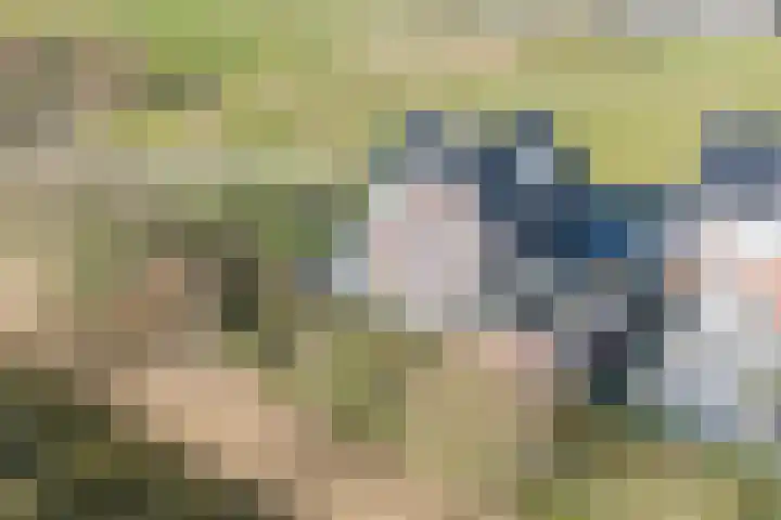 Hertogkade 61 Huissen thumbnail 58