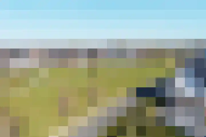Hertogkade 61 Huissen thumbnail 61