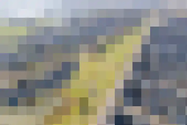 Hertogkade 61 Huissen thumbnail 64