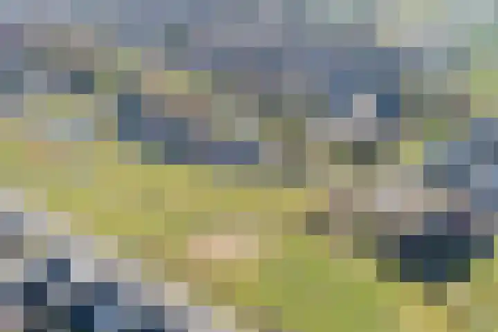 Hertogkade 61 Huissen thumbnail 65