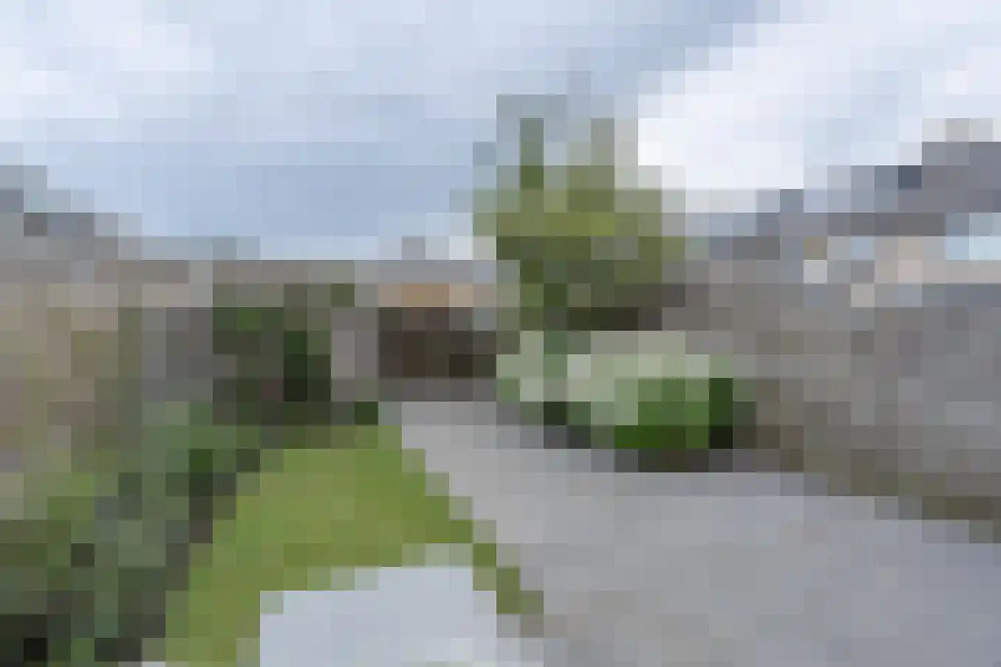 Hertoglaan 28 Mijnsheerenland thumbnail 10