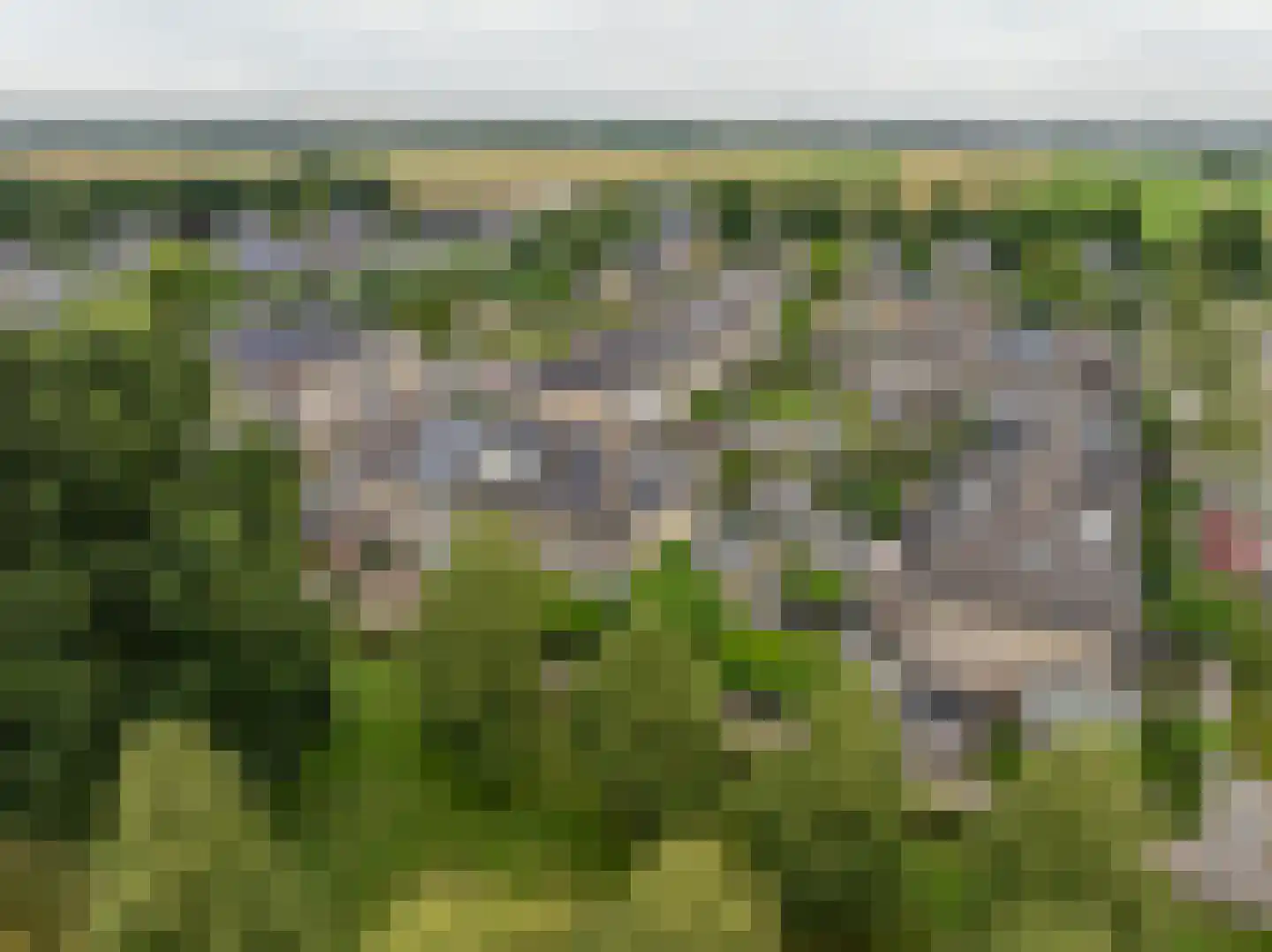 Hertoglaan 28 Mijnsheerenland thumbnail 39