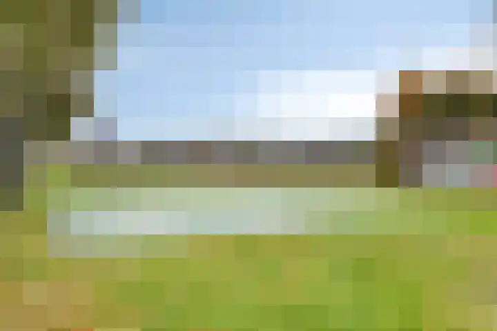 Hertoglaan 36 Mijnsheerenland thumbnail 21