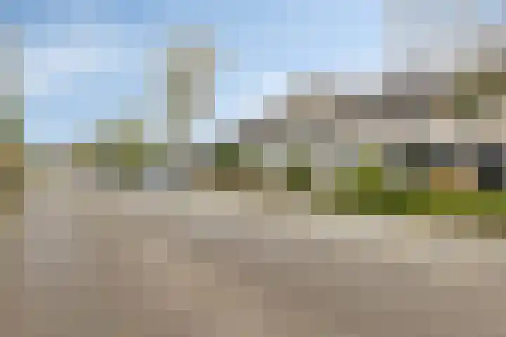 Hertoglaan 36 Mijnsheerenland thumbnail 22