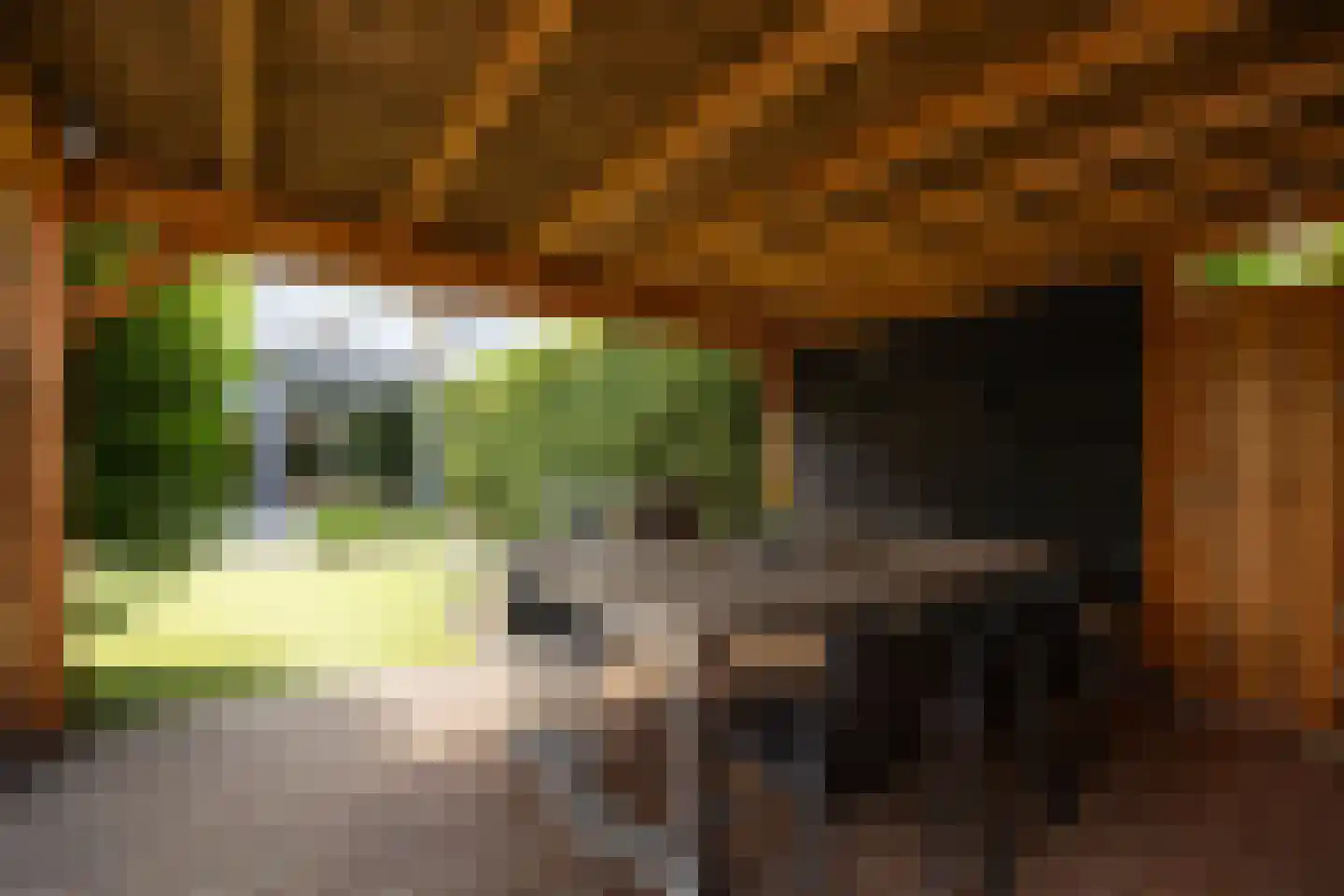 Hertoglaan 36 Vught thumbnail 44