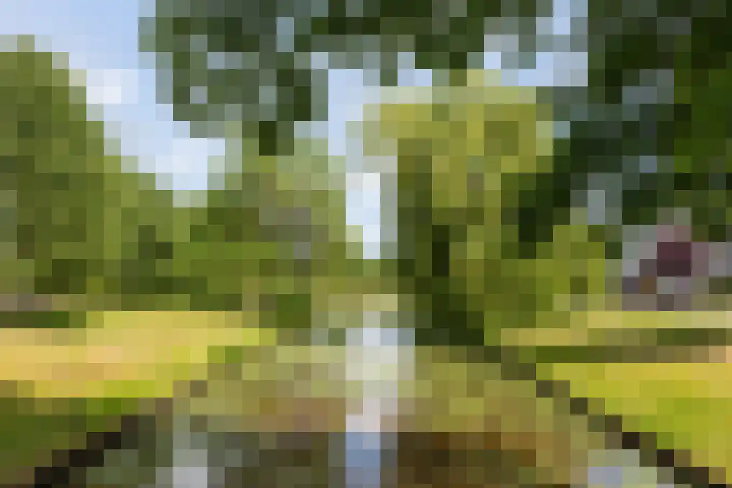 Hertoglaan 36 Vught thumbnail 65