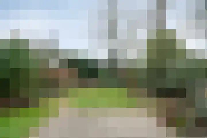 Hertoglaan 45 Vught thumbnail 29