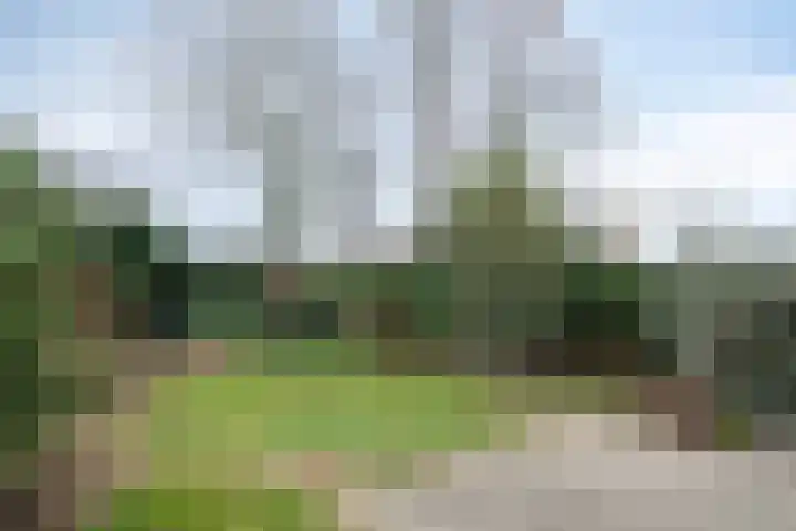 Hertoglaan 45 Vught thumbnail 30