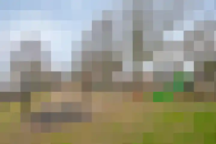 Hertoglaan 45 Vught thumbnail 38