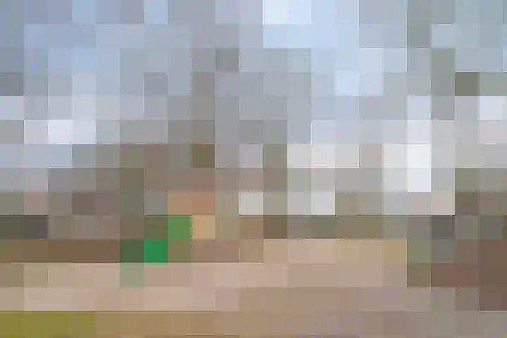Hertoglaan 45 Vught thumbnail 39
