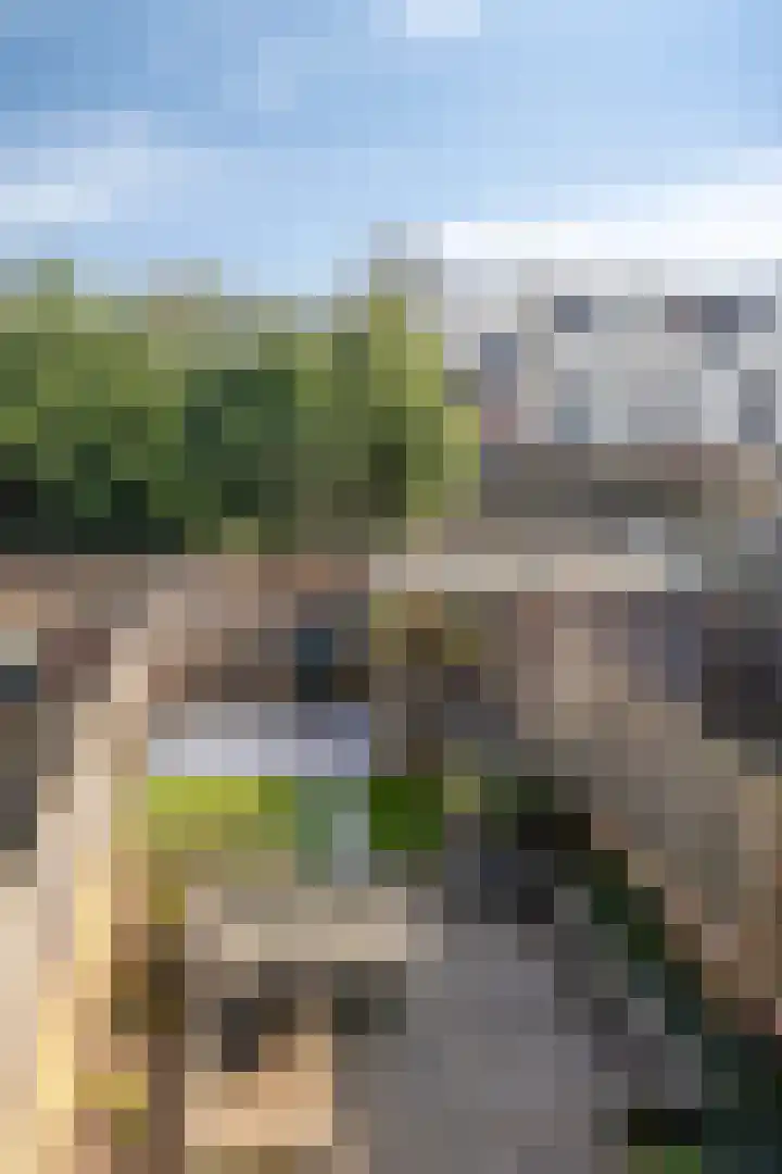 Hertogpark 15 's-Hertogenbosch thumbnail 15
