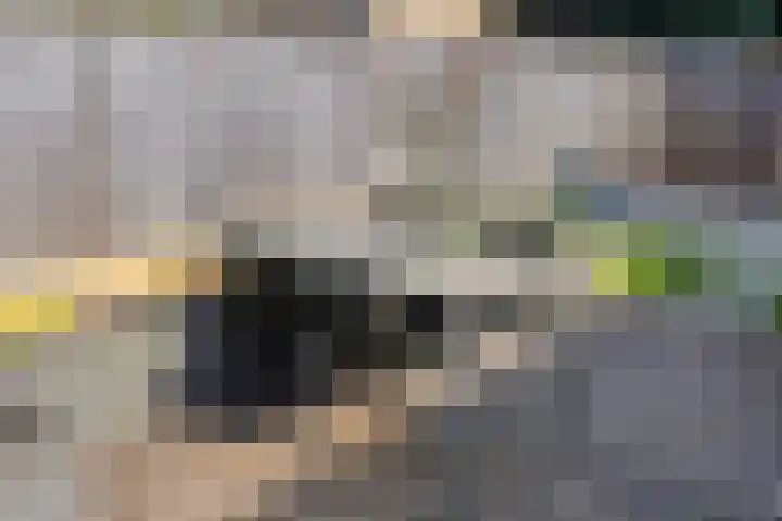 Hertogpark 15 's-Hertogenbosch thumbnail 36