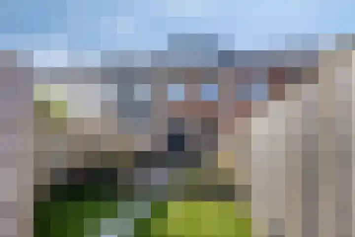 Hertogpark 15 's-Hertogenbosch thumbnail 38