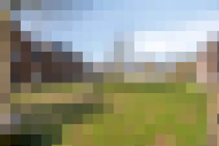 Hertogpark 15 's-Hertogenbosch thumbnail 42