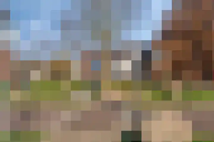 Hertogpark 15 's-Hertogenbosch thumbnail 43