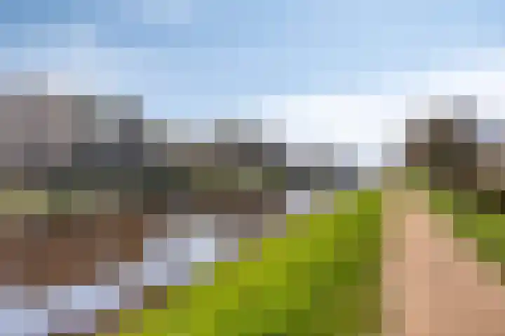 Hertogpark 15 's-Hertogenbosch thumbnail 45