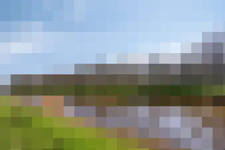 Hertogpark 15 's-Hertogenbosch thumbnail 46