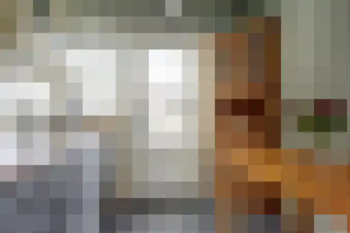 Hertogshoef 118 Raamsdonksveer thumbnail 11