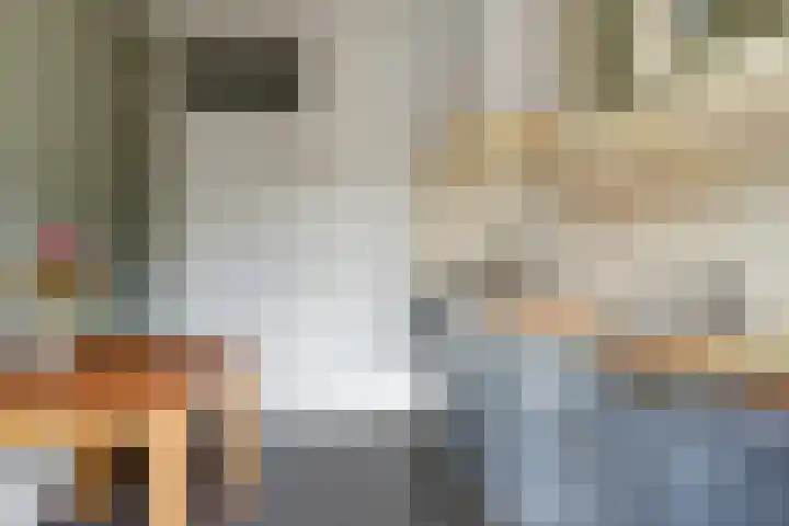 Hertogshoef 118 Raamsdonksveer thumbnail 12