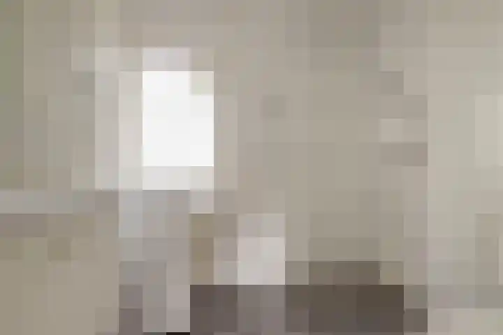Hertogshoef 118 Raamsdonksveer thumbnail 16